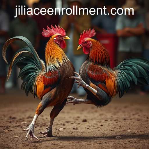 The Complex World of Cockfighting and JILIACE ENROLLMENT
